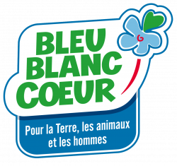 bleu-blanc-coeur-sylvie-romeo